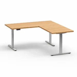 Electric Sit Stand Desk