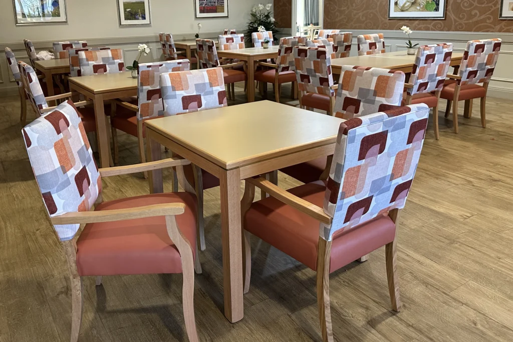 Lily Dining Chair with Boron Table