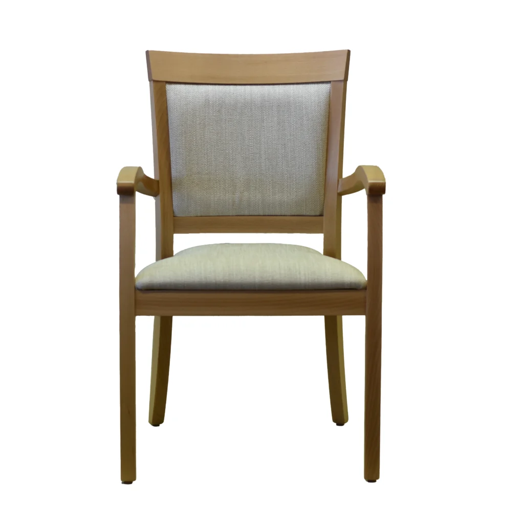 Martina Dining Chair 1